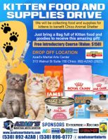 Participate in Our Kitten Food and Supplies Drive and Make a Kitten Smile
