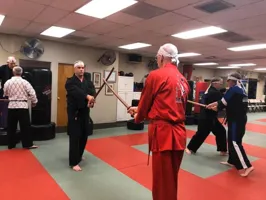 Adult Martial Arts